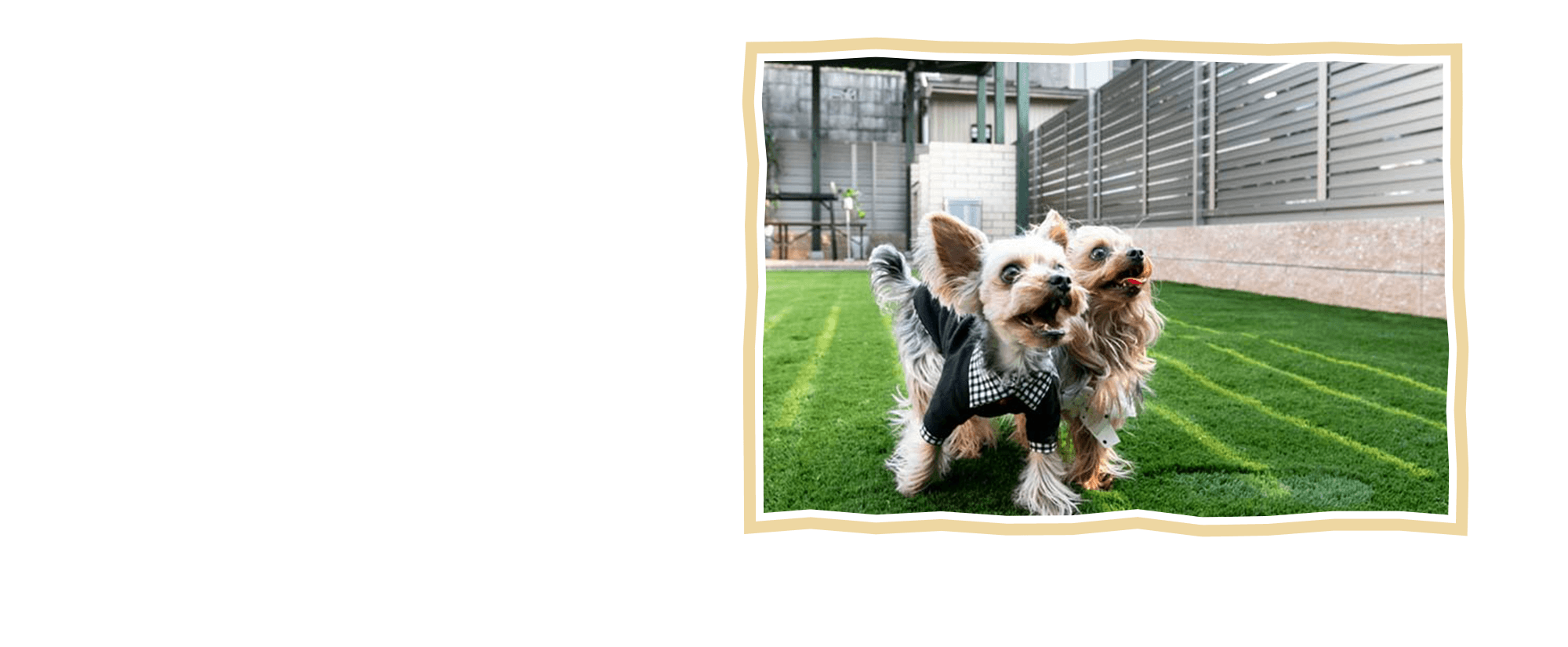 愛犬との時間に、上質なひとときを