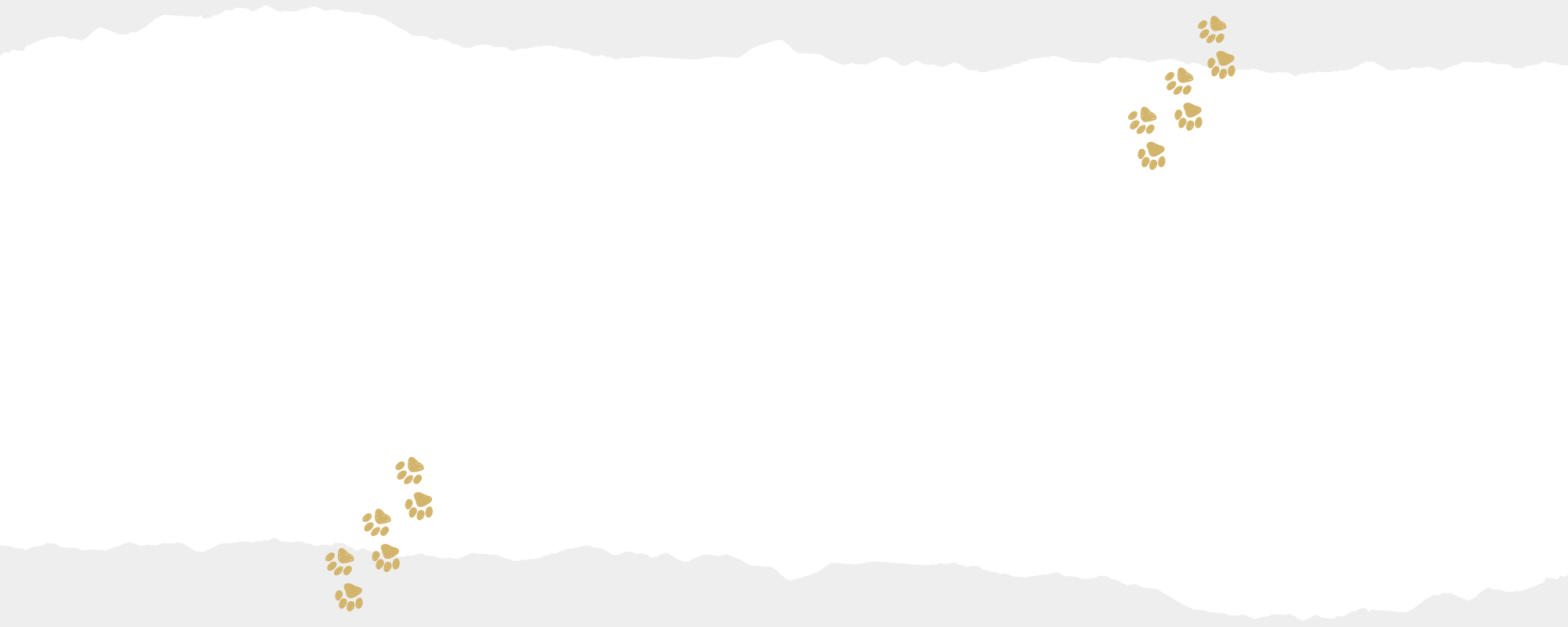 para_cover
